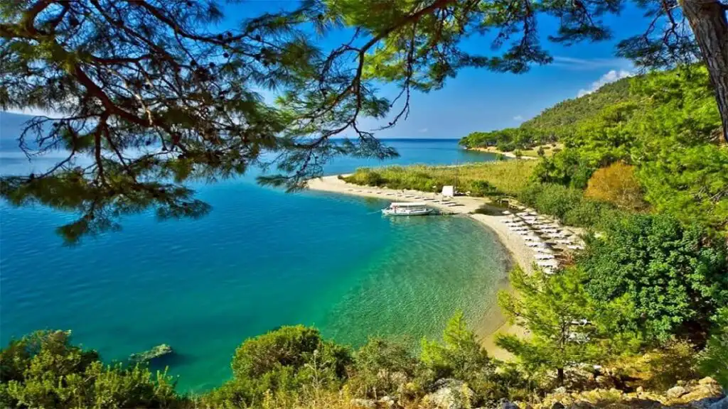 Köyceğiz Gezi Rehberi: Gölün Sesi, Ormanın Kokusuyla Buluşuyor