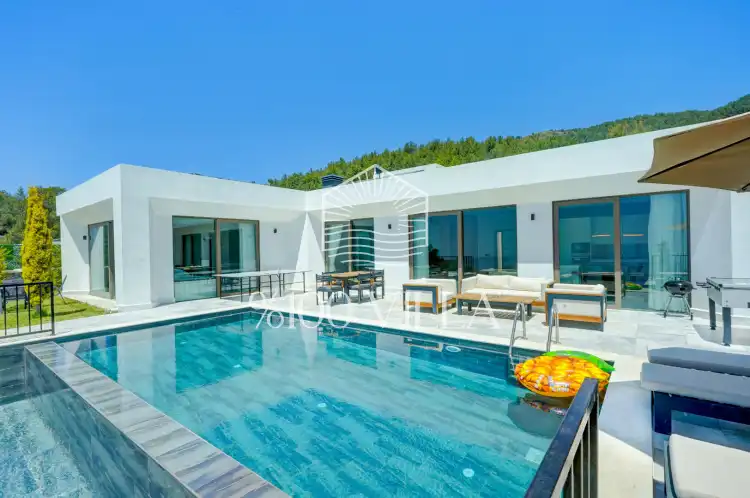 Villa Mercury 9